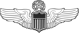 United States Aviator Badge