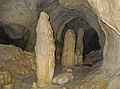 Grotte du Chat (Grotta del Gatto).