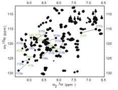 HSQC 2D-NMR spectrum of an NleG protein fragment