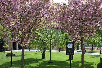 Vår i parken