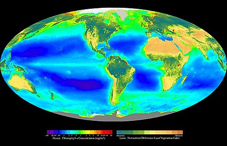 Global oceanic and terrestrial photoautotroph abundance at Primary production, by SeaWiFS Project