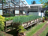 Herb garden at Kariwak Village in Tobago