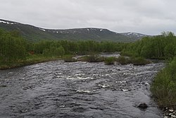 Vetsijoen alajuoksua Vetsikon luona kesäkuussa 2017.