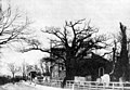 The Weld Chapel (right) in 1862 during the construction of Christ Church[9]