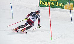 Filip Zubčić (2015)