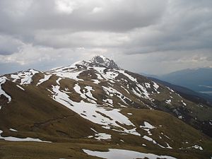 Поглед на највиши врх на гребену Крчина.