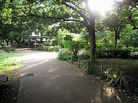 武蔵野中央公園