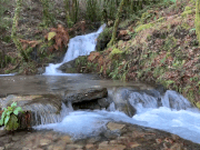 animation of small waterfalls over rocks into a small transparent stream