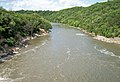 Les grands cours d'eau (Blue Earth river, Minnesota) : compartimentage naturel des forêts mais également corridors (vecteurs d'arbres et bois flottants comme de propagules). Les gués permettent la traversée des espèces terrestres en période de basses eaux