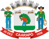 Coat of arms of Caarapó
