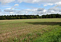 Briningham Plantation Viewed across harvested cereal field beside the B1354