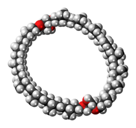 Space-filling model of the caldarchaeol molecule{{{画像alt1}}}