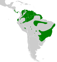 Distribuição geográfica da marianinha-amarela.