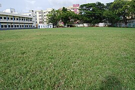 School playing field