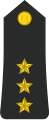 Egyptian Navy