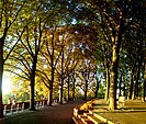 Linden Terrace in Fort Tryon Park