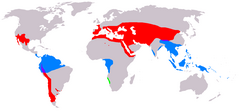 Distribuição, separada por género: Verde – Welwitschia Azul – Gnetum Vermelho – Ephedra Púrpura – Gnetum e Ephedra