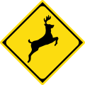 Watch for large animals (deer)