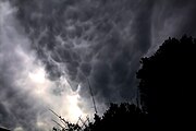 Mammatus em ''San Francisco'', California