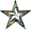 The Military ranked Barnstar