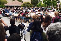 Students mooning at Stanford University in 1995, intended as an unspecified protest and a world record attempt