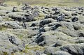 Lava field Svínahraun