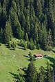 Ohlstädter Alm auf dem Weg auf den Heimgarten