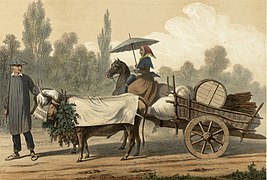 Illustration d'un homme tirant un attelage bovin et d'une femme à cheval.