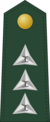Lieutenant Commandant