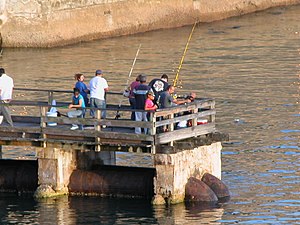 Fishing from a pier