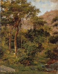 Forêt tropicale, Galipán,1854 Museumsbygningen, Copenhague