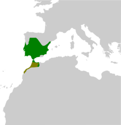 alt=Distribución de Pleurodeles waltl.      Residente     Probablemente extinto