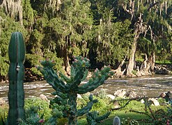 Río Tula en Mixquiahuala de Juárez.