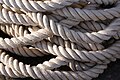 Rope that is used for holding ships in port