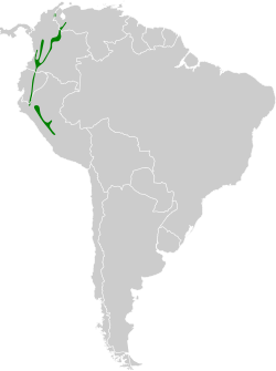 Distribución geográfica del churrín coroniblanco.