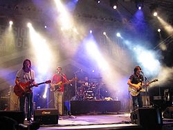 Veliki Prezir performing live at EXIT festival in 2010: Robert Telčer, Boris Mladenović, Robert Radić and Vladimir Kolarić