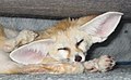 於 2007年9月28日 (五) 00:48 版本的縮圖