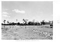 Watering facility, Meandarra Rd, Bungunya, circa 1954