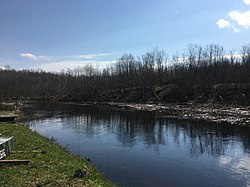 Коломенка близ деревни Озеревичи