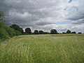 Totteridge Park Open Space