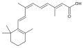 Минијатура за верзију на дан 23:03, 16. децембар 2006.