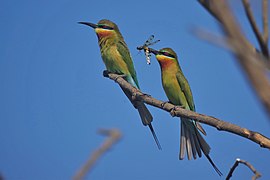 At the Powai Lake, India