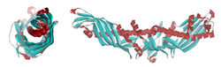 Cholesterinester-Transferprotein