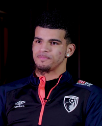 Dominic Solanke