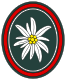 West/German military 23rd mountain rifles troops emblem.