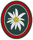 West/German military 23rd mountain rifles troops emblem.