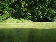 La Bienne en crue (250 m3/s) au lieu-dit le Gour au Moines à Vaux-lès-Saint-Claude).