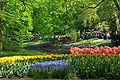 Keukenhof Gardens in The Netherlands