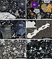 Thin sections of 2024 BX1 samples, with enstatite crystals (En), olivine (Ol), plagioclase (Plag) and metal (Met)