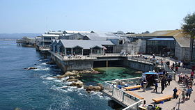 Image illustrative de l’article Aquarium de la baie de Monterey